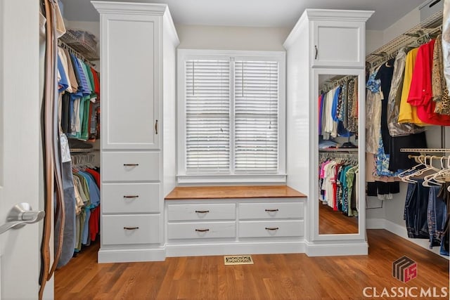 1232 Everton Pl, Cumming, GA 30041 - spacious closet with light wood-type flooring