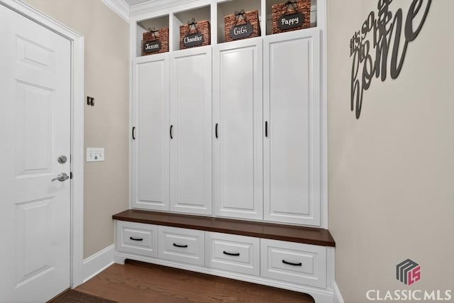 1232 Everton Pl, Cumming, GA 30041 - mudroom with baseboards and dark wood-type flooring