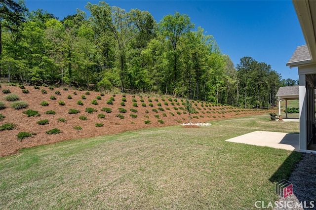 1260 Starboard Way, Greensboro, GA 30642 - view of green lawn featuring a patio area
