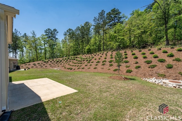1260 Starboard Way, Greensboro, GA 30642 - view of green lawn featuring a patio area
