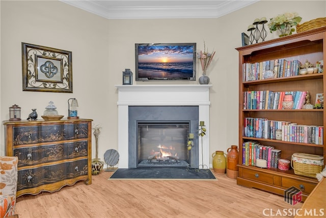 263 Turtle Creek Dr, Winder, GA 30680 - living room featuring wood finished floors, a fireplace with flush hearth, and ornamental molding