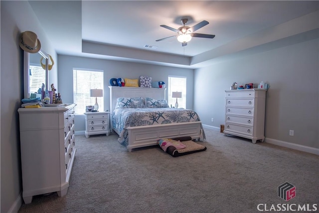 11 Rachel, Hartwell, GA 30643 - carpeted bedroom featuring a raised ceiling, multiple windows, and a ceiling fan