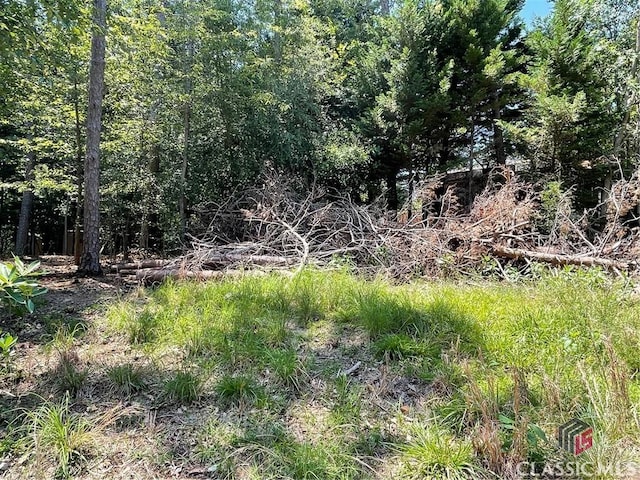LOT4 Big Water Cir, Hartwell, GA 30643