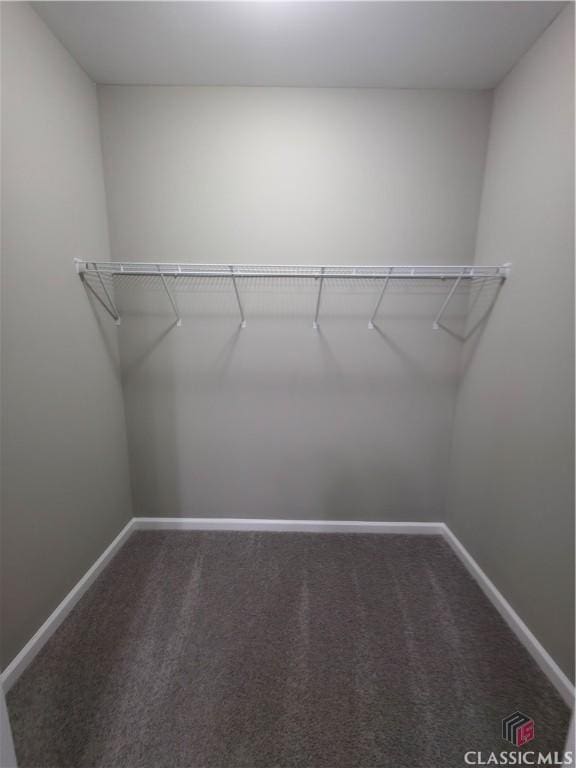366 Washington Dr, Athens, GA 30601 - spacious closet with carpet floors