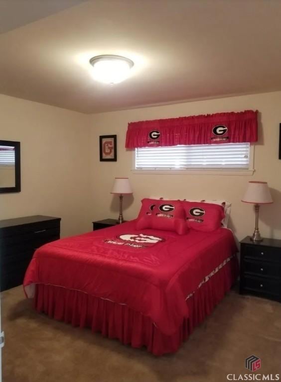 250 Little St Unit C210, Athens, GA 30605 - view of carpeted bedroom