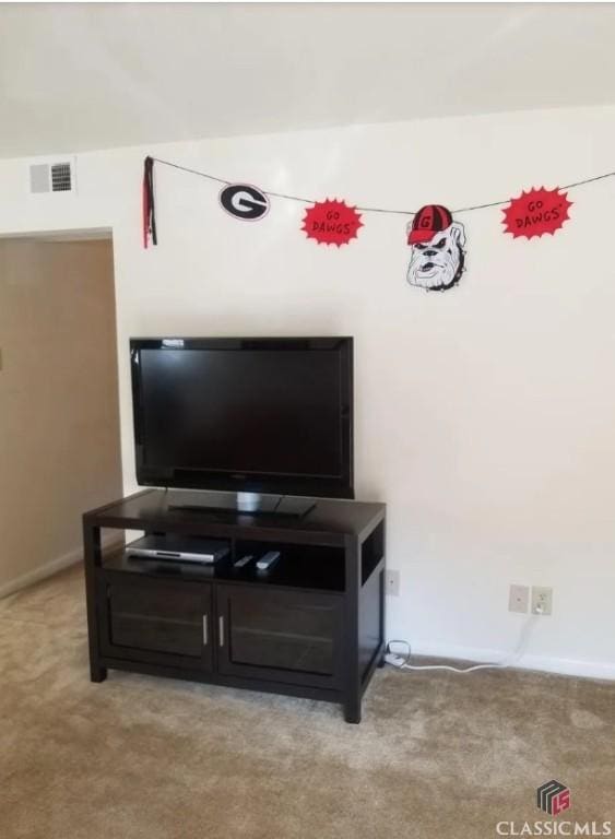 250 Little St Unit C210, Athens, GA 30605 - detailed view of carpet flooring