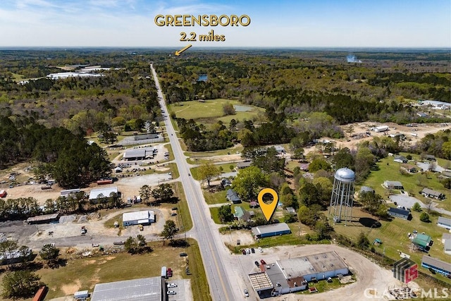 2090 E Broad St, Greensboro, GA 30642