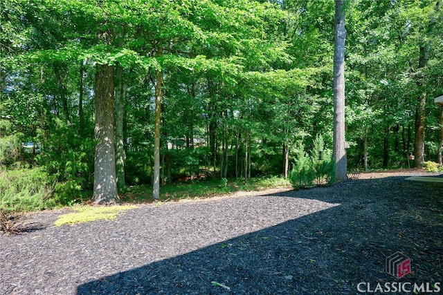 1640 Madison Ct, Bogart, GA 30622 - view of yard