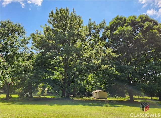 4660 Fairplay Rd, Madison, GA 30650 - view of green lawn with a storage shed