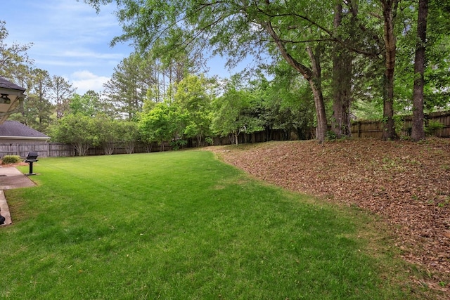 6426 Springwater Dr, Columbus, GA 31904 - view of fenced backyard