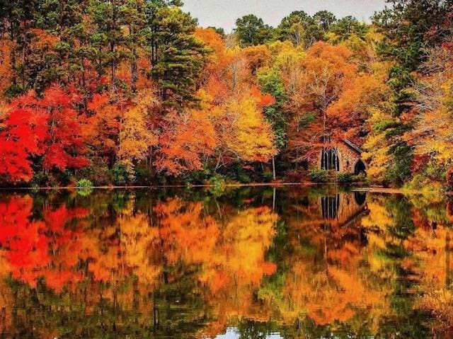 316 Birch Ln, Pine Mountain, GA 31822 - water view featuring a forest