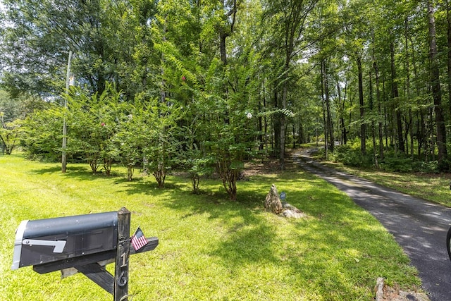 160 Hillbrough St, Fortson, GA 31808 - photo 2