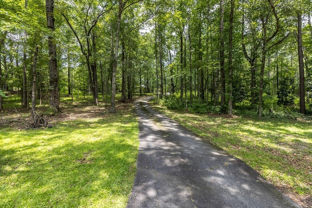 160 Hillbrough St, Fortson, GA 31808 - photo 3