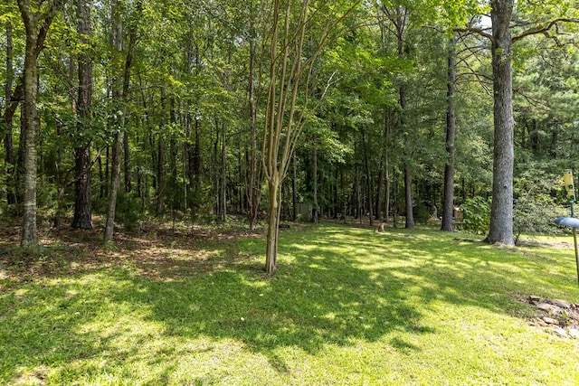 160 Hillbrough St, Fortson, GA 31808 - photo 7