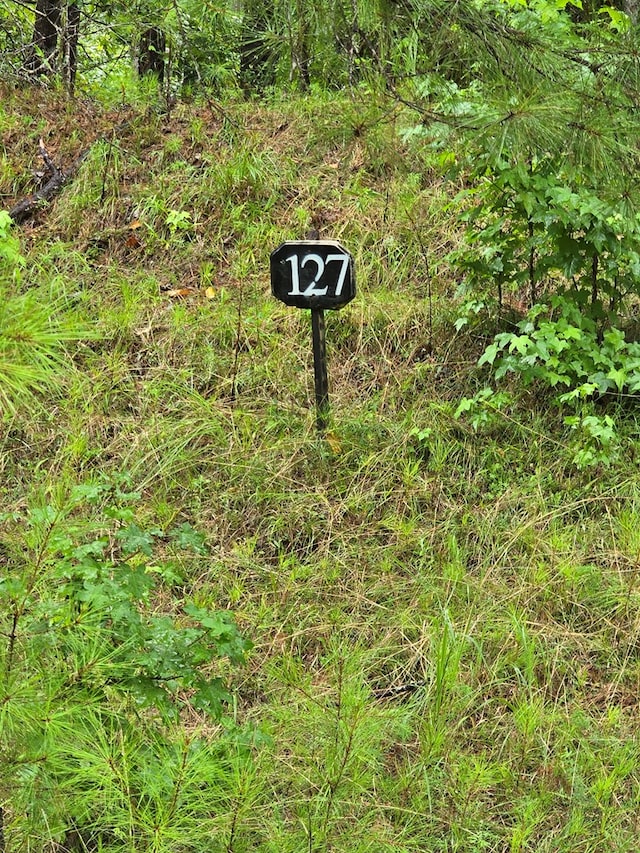 LOT127 Manton Dr, Fortson, GA 31808 - photo 2