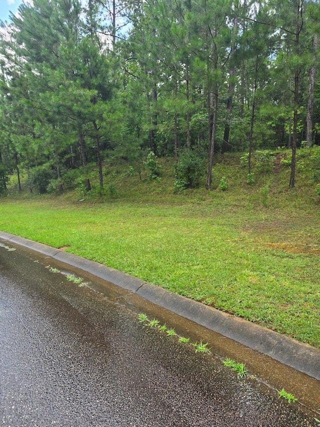 LOT127 Manton Dr, Fortson, GA 31808 - photo 5