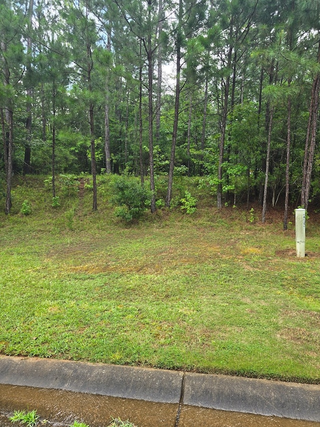 LOT127 Manton Dr, Fortson, GA 31808 - photo 4
