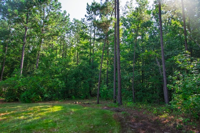 370 Sullivan Cir, Pine Mountain, GA 31822 - photo 26