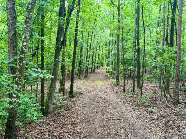5072 Ga Highway 0116, Hamilton, GA 31811 - photo 21