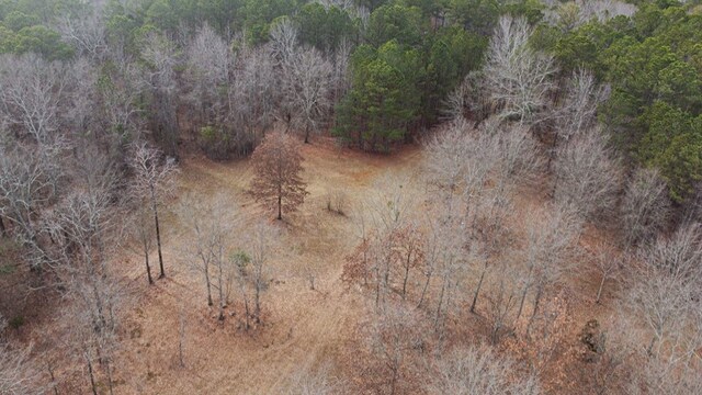 5072 Ga Highway 0116, Hamilton, GA 31811 - photo 31