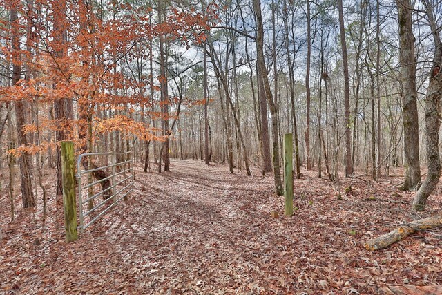 5072 Ga Highway 0116, Hamilton, GA 31811 - photo 52