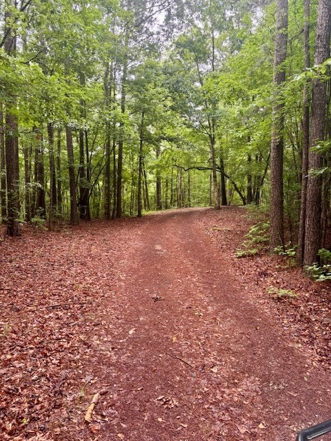 5072 Ga Highway 0116, Hamilton, GA 31811 - photo 16