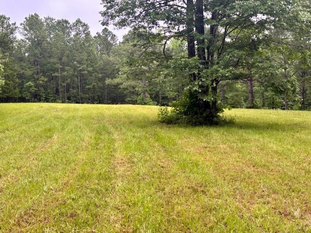 5072 Ga Highway 0116, Hamilton, GA 31811 - photo 6