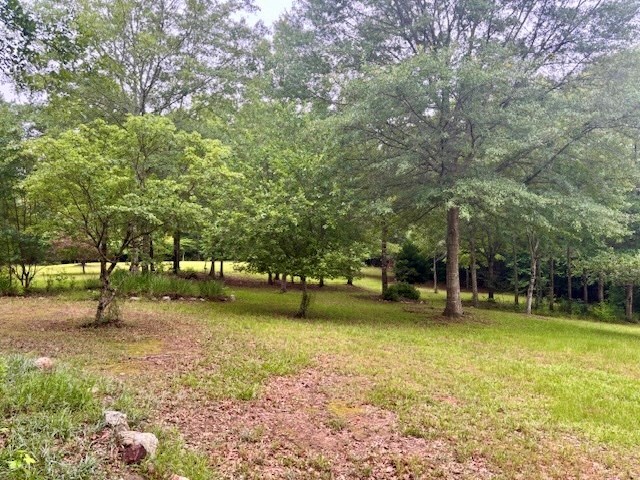 5072 Ga Highway 0116, Hamilton, GA 31811 - photo 12