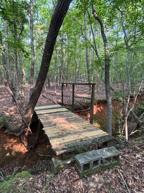 5072 Ga Highway 0116, Hamilton, GA 31811 - photo 65