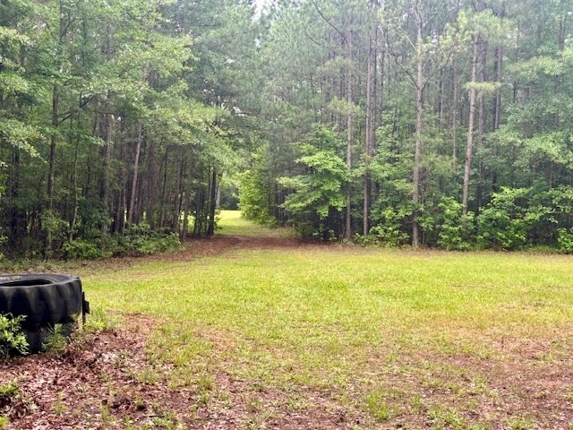 5072 Ga Highway 0116, Hamilton, GA 31811 - photo 8
