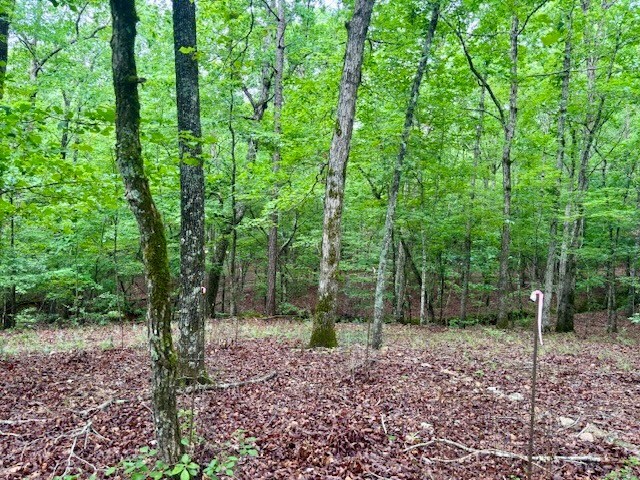 5072 Ga Highway 0116, Hamilton, GA 31811 - photo 22