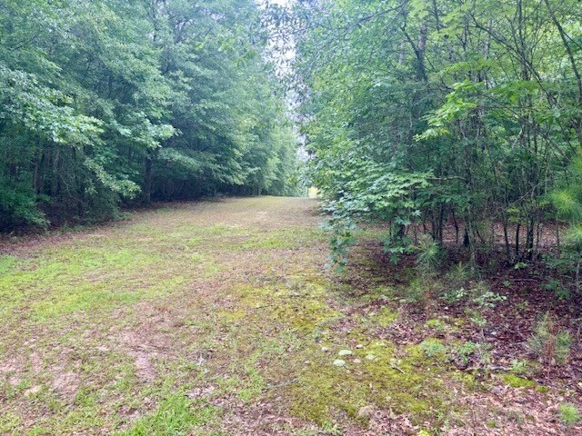 5072 Ga Highway 0116, Hamilton, GA 31811 - photo 14