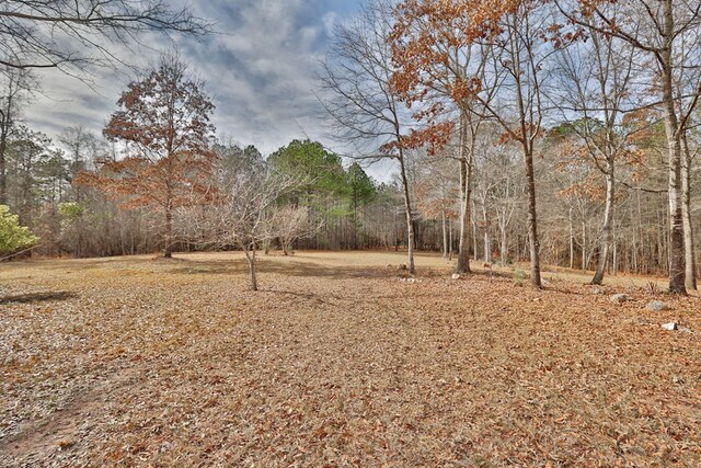 5072 Ga Highway 0116, Hamilton, GA 31811 - photo 49