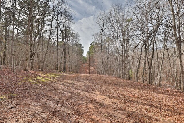 5072 Ga Highway 0116, Hamilton, GA 31811 - photo 60