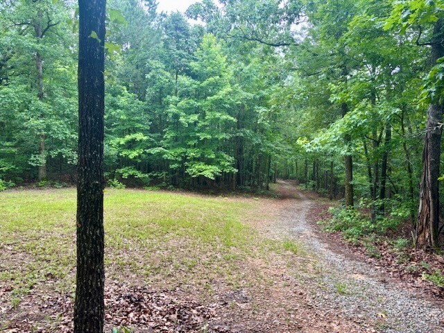 5072 Ga Highway 0116, Hamilton, GA 31811 - photo 20