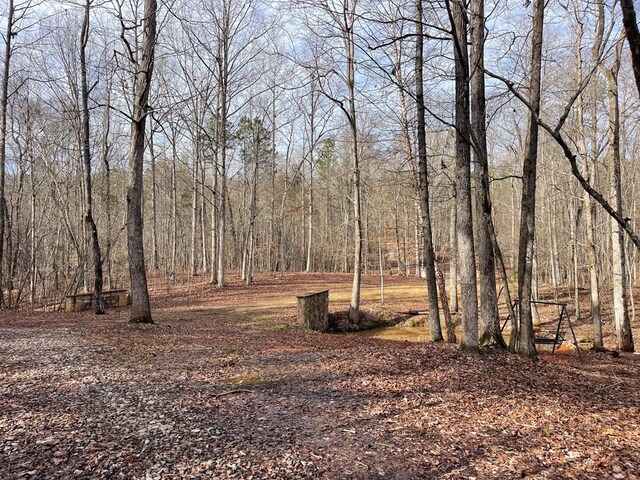 5072 Ga Highway 0116, Hamilton, GA 31811 - photo 39