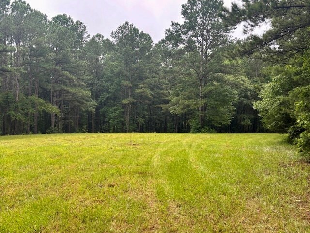 5072 Ga Highway 0116, Hamilton, GA 31811 - photo 5