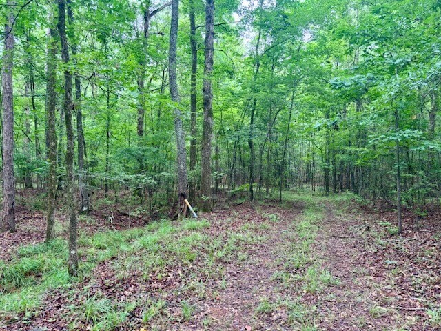 5072 Ga Highway 0116, Hamilton, GA 31811 - photo 19