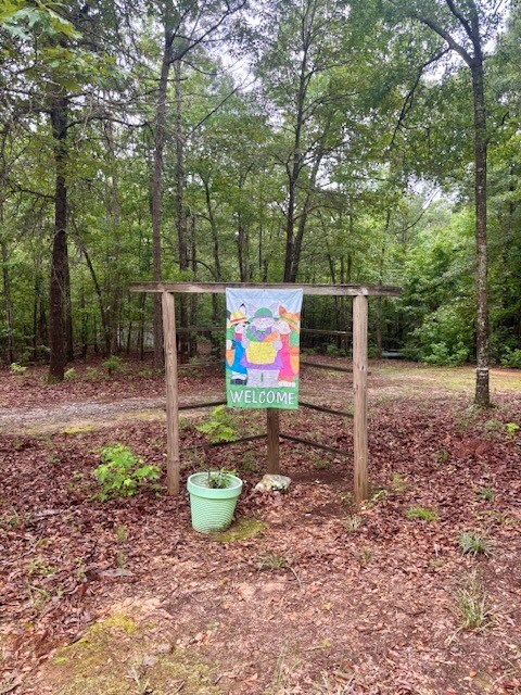 5072 Ga Highway 0116, Hamilton, GA 31811 - photo 13