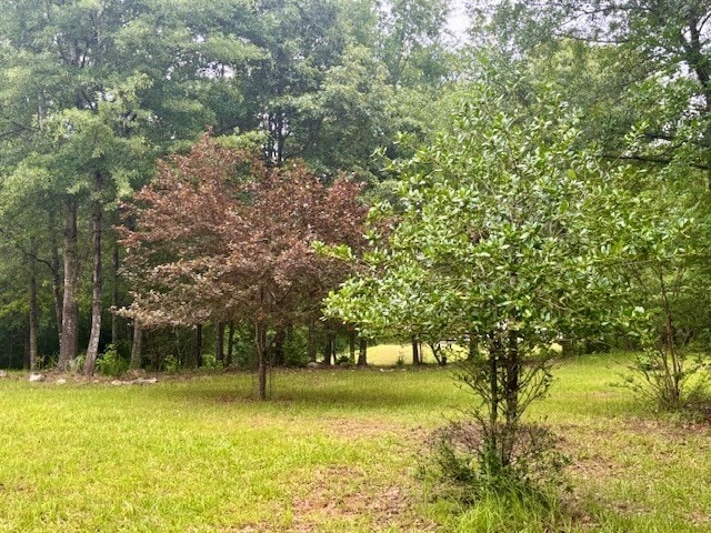 5072 Ga Highway 0116, Hamilton, GA 31811 - photo 10