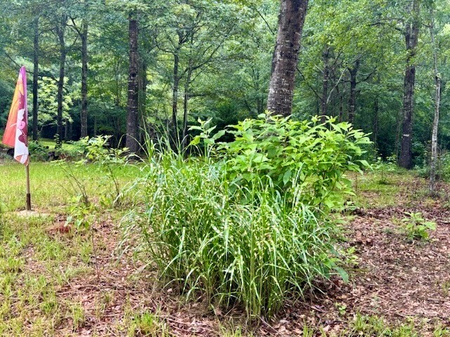 5072 Ga Highway 0116, Hamilton, GA 31811 - photo 24
