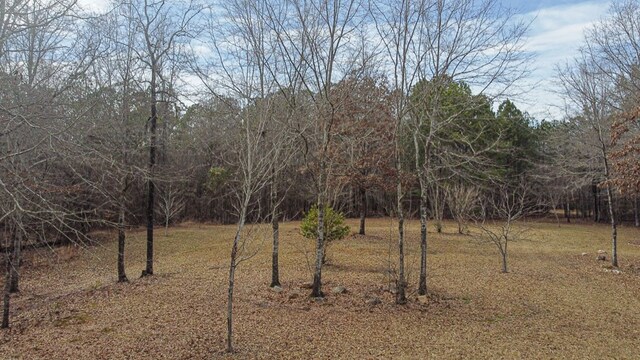 5072 Ga Highway 0116, Hamilton, GA 31811 - photo 28