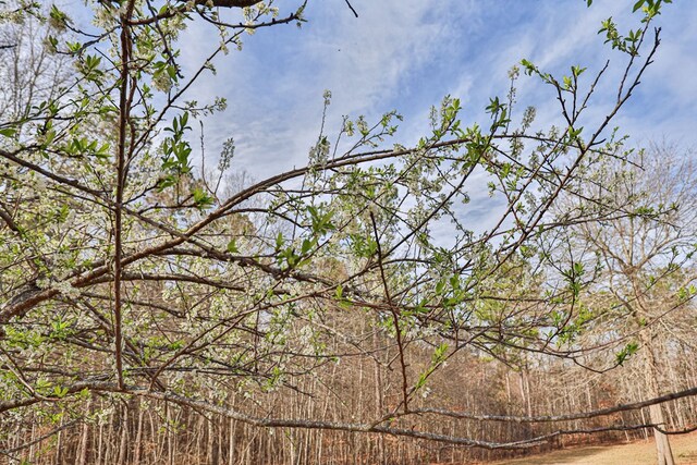 5072 Ga Highway 0116, Hamilton, GA 31811 - photo 55