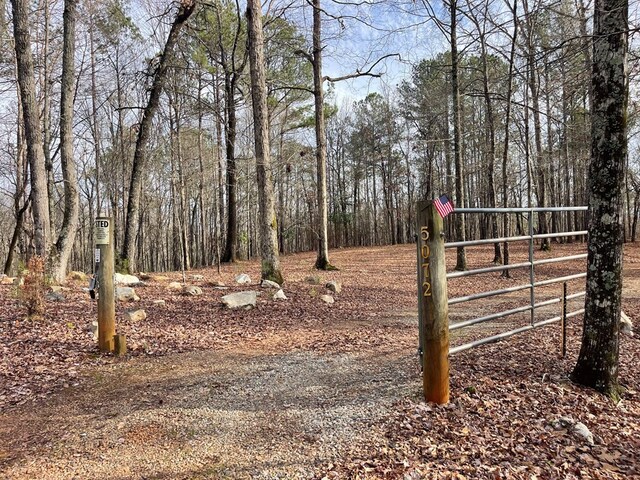 5072 Ga Highway 0116, Hamilton, GA 31811 - photo 34