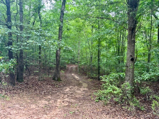 5072 Ga Highway 0116, Hamilton, GA 31811 - photo 18