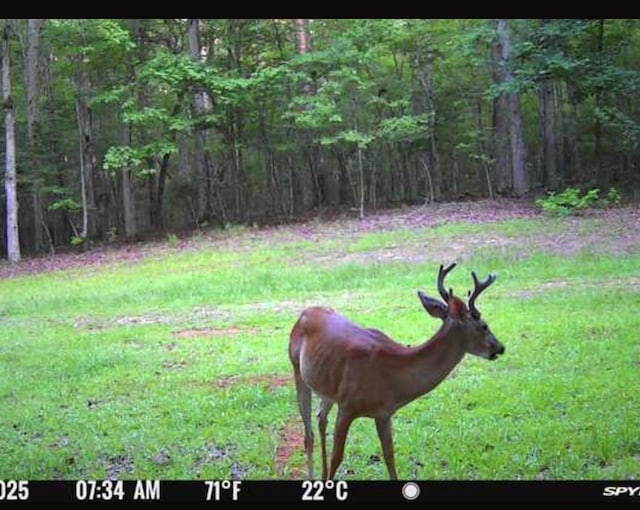 5072 Ga Highway 0116, Hamilton, GA 31811 - photo 75