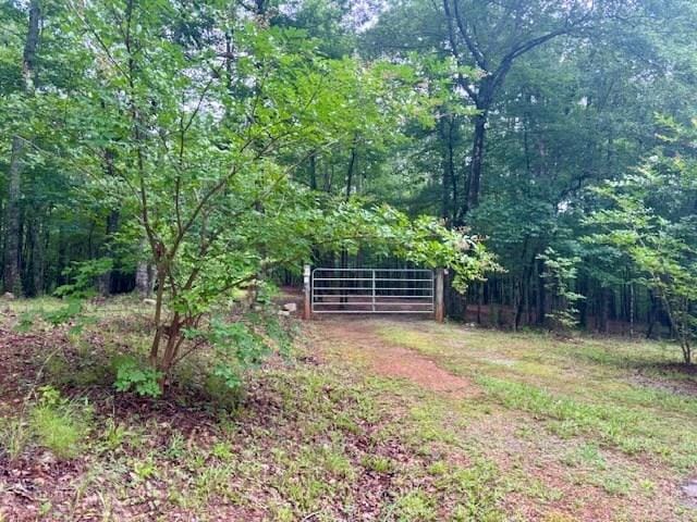 5072 Ga Highway 0116, Hamilton, GA 31811 - photo 1