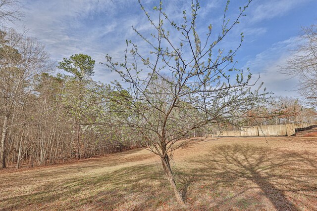5072 Ga Highway 0116, Hamilton, GA 31811 - photo 56