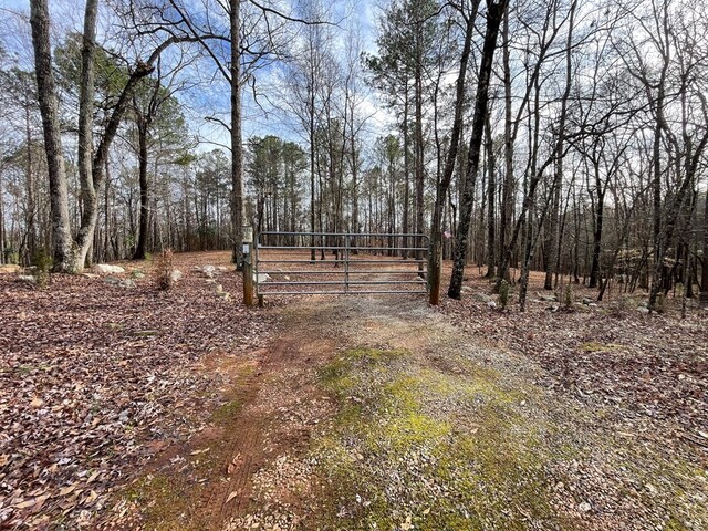 5072 Ga Highway 0116, Hamilton, GA 31811 - photo 46