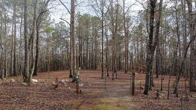 5072 Ga Highway 0116, Hamilton, GA 31811 - photo 29